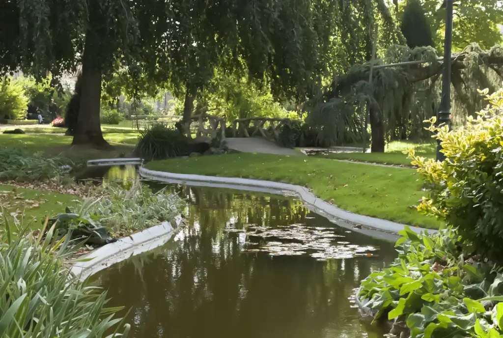 1-Bassin d'agrément