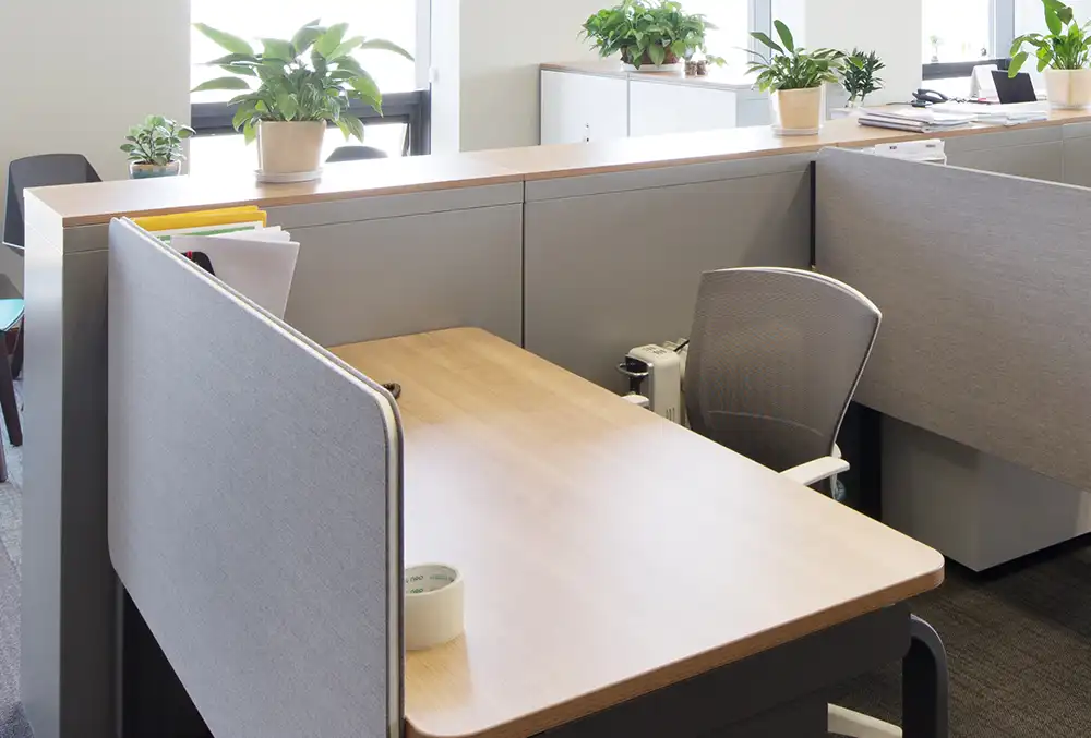 1Cloison acoustiques dans un bureau copie